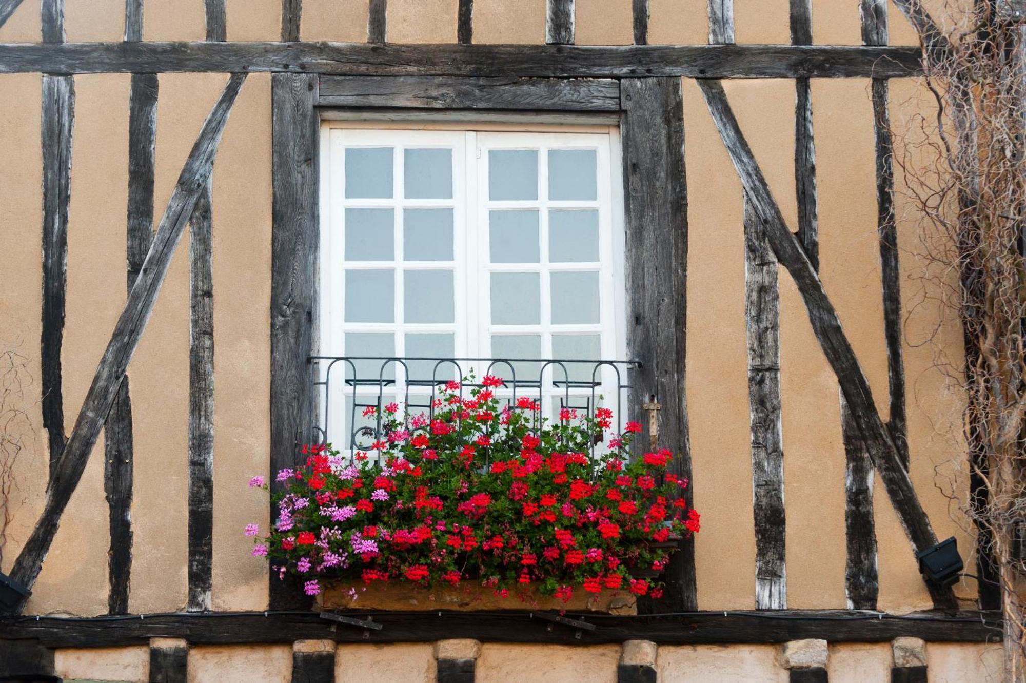 Chambres D'Hote - Maison Des Ecrivains - 50 M De La Cathedrale Et Place Des Jacobins Ле-Ман Экстерьер фото